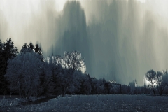Pixelwiese-am-Waldrand